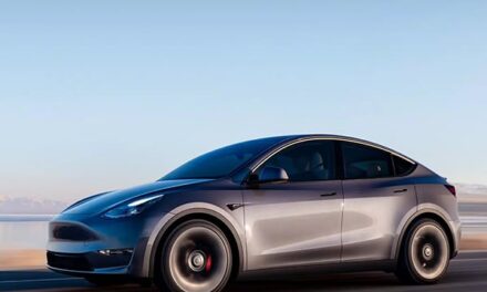 Tesla Model Y tops charts as new car market continues recovery