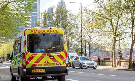 Non-emergency ambulances, police cars and fire vehicles to use TfL bus lanes